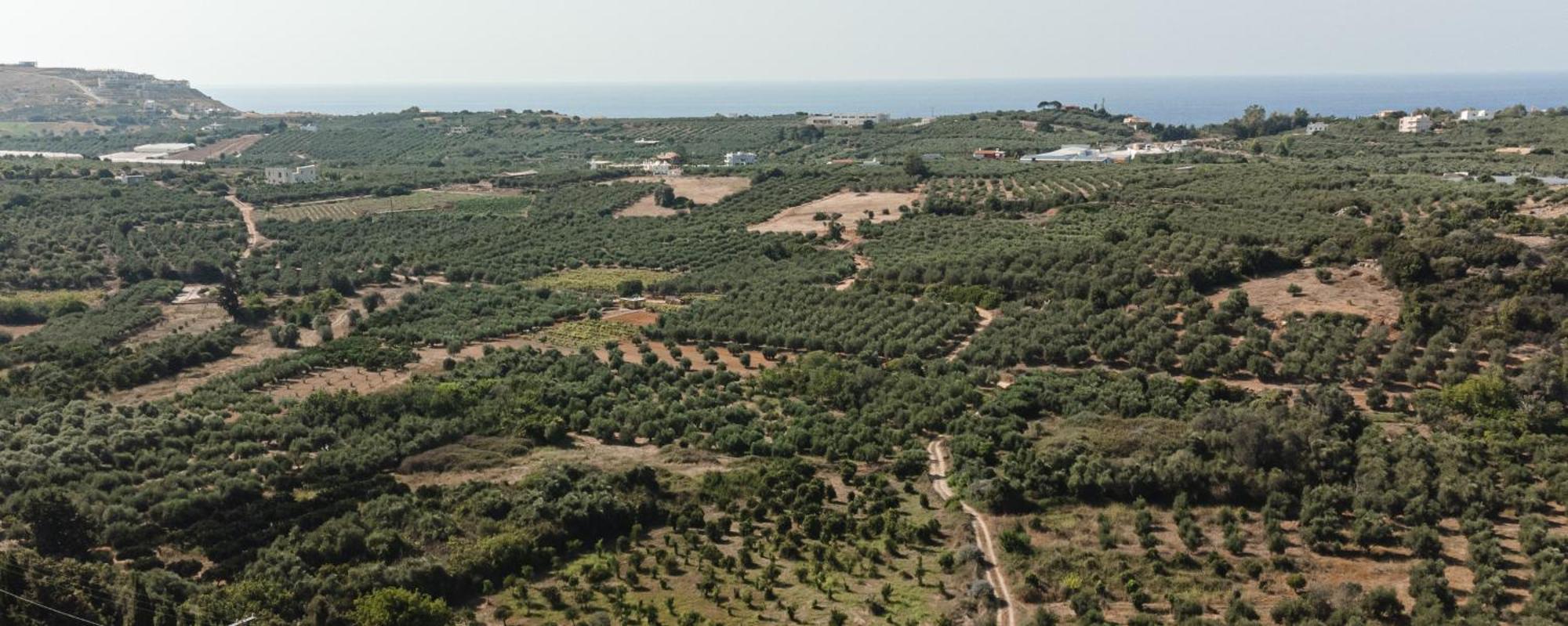 Andromache Villa Roumelí